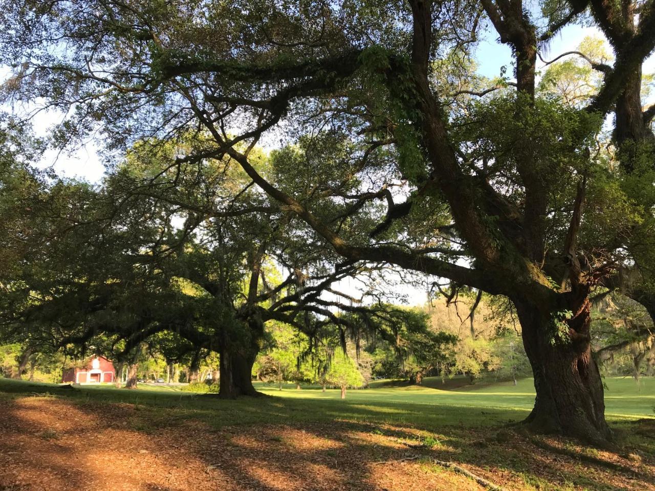 Westside Canemount Plantation Inn מראה חיצוני תמונה
