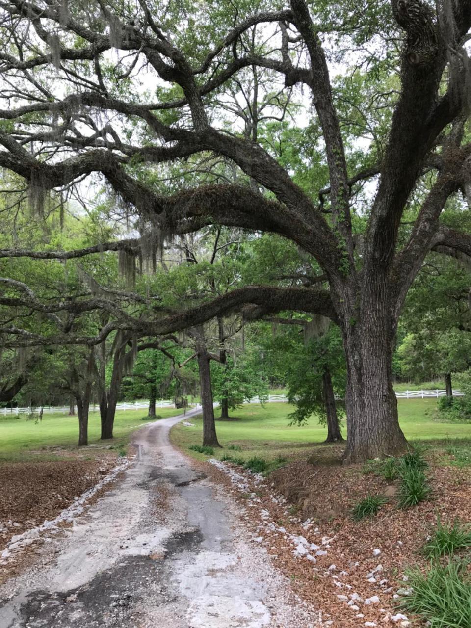 Westside Canemount Plantation Inn מראה חיצוני תמונה