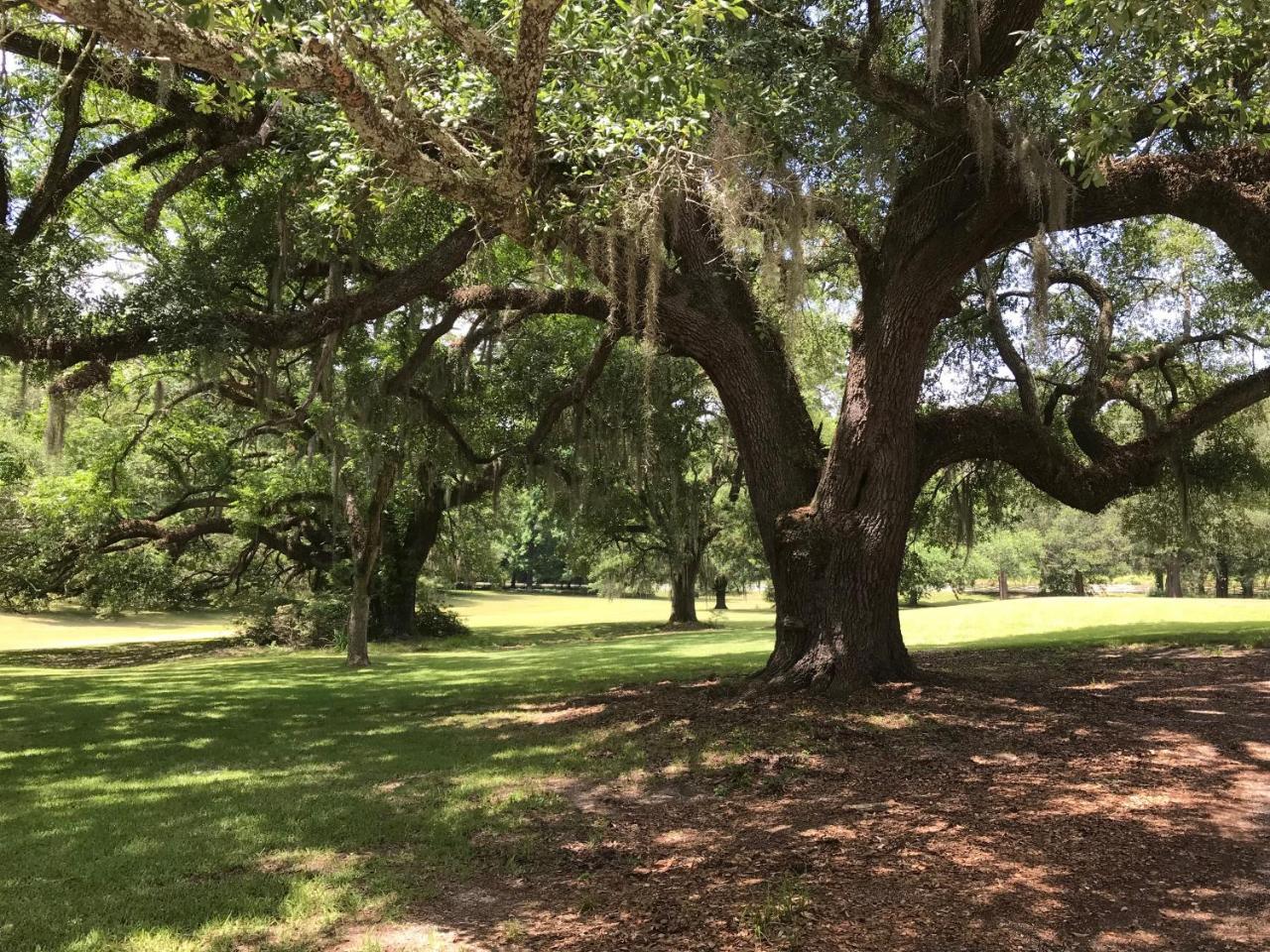 Westside Canemount Plantation Inn מראה חיצוני תמונה